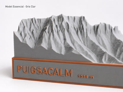 Puigsacalm