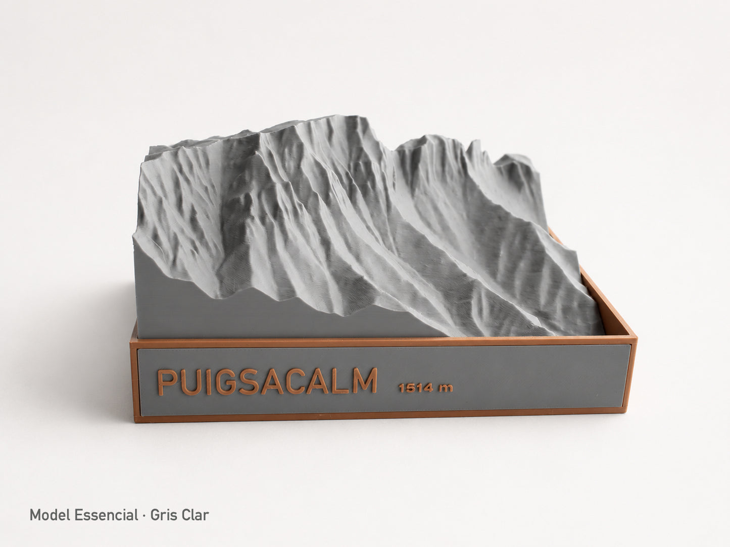 Puigsacalm