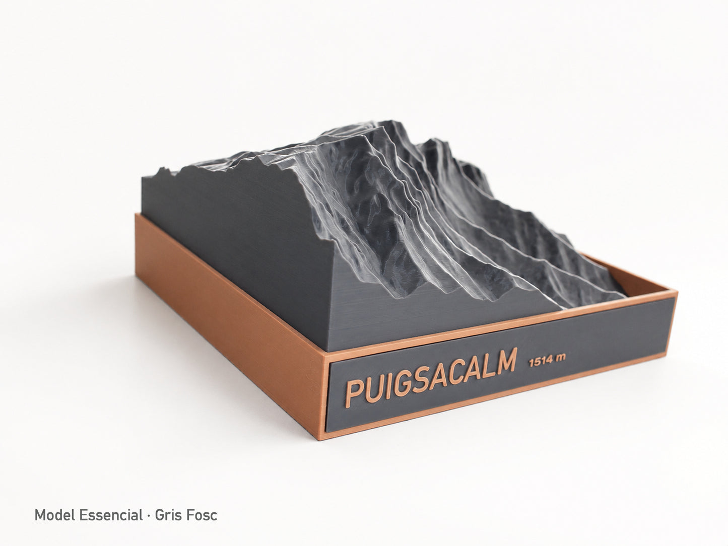 Puigsacalm