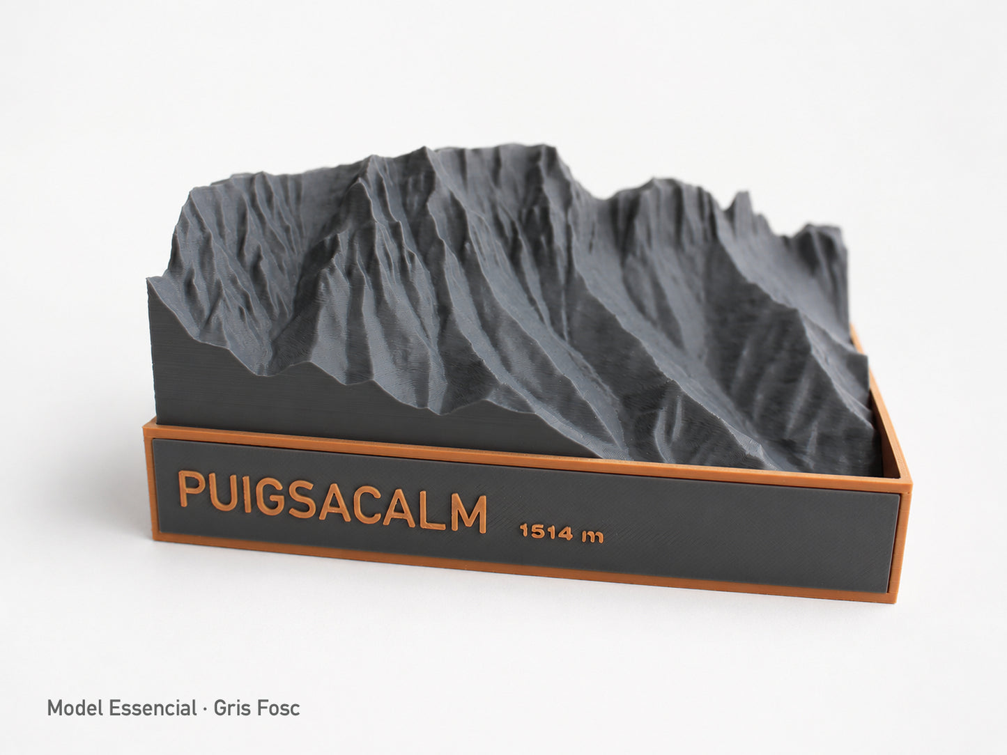 Puigsacalm