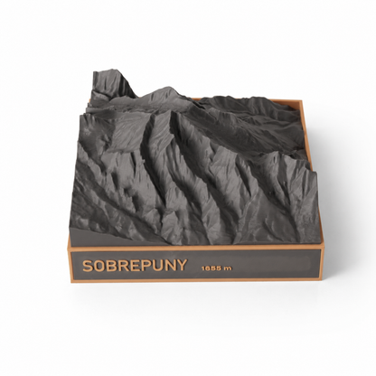 Sobrepuny
