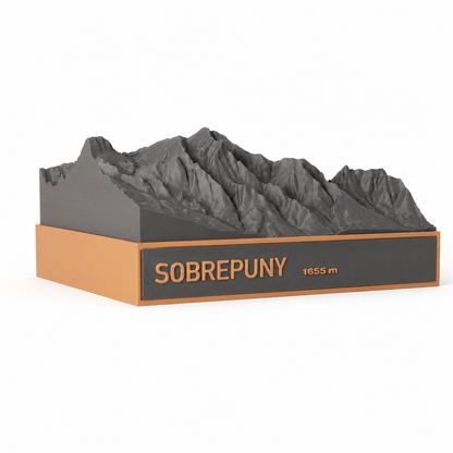 Sobrepuny