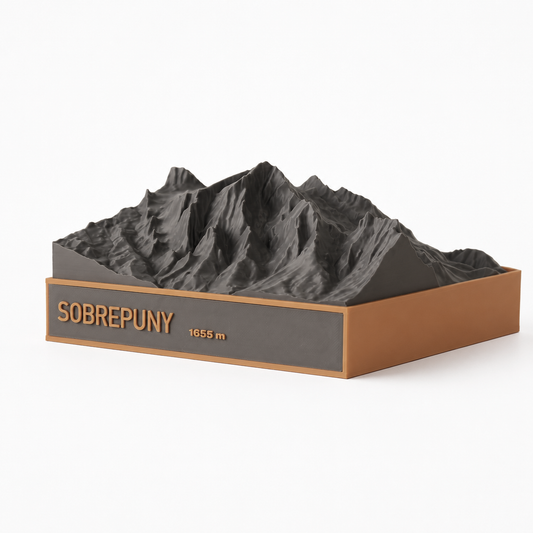 Sobrepuny