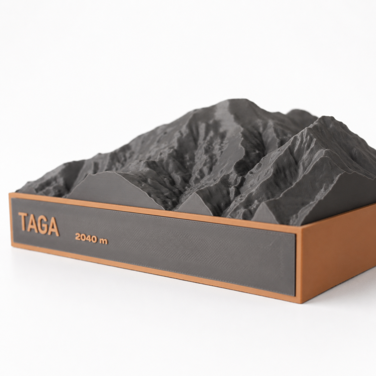 Taga